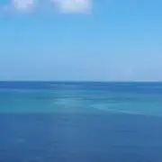 マリモまりの画像