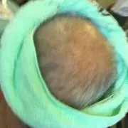 たいの画像