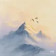 akakaの画像