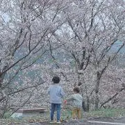 Nxx...発送は平日のみになります。