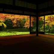 ゆきんこ♪の画像