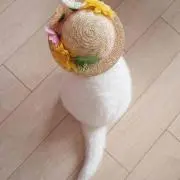 えだまめの画像