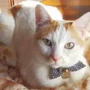 ☆☆えりく☆☆【プロフ必読】の画像