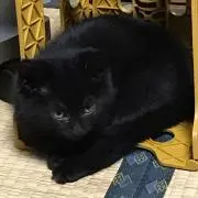 ヤッコ☆断捨離中☆