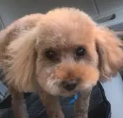 ここみるの画像