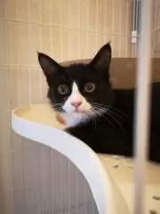 fuuuu.co