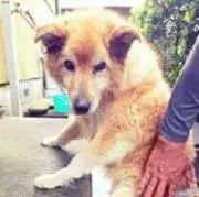 m 即購入大歓迎♡の画像