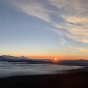 Maruの画像