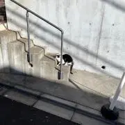 さまさまの画像