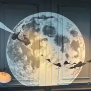 コレクターまーぼー　プロフ必読の画像