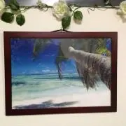 海の画像