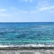 なぶの画像