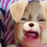 たん