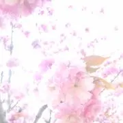 かりんの画像