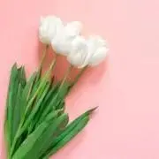 ❣最終値下げ❣遠藤さくら S賞 BIGアクリルスタド のぎBOX NOGIZzz