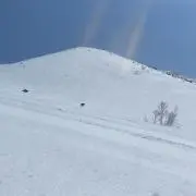 るんの画像