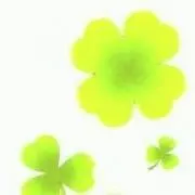 ここの画像