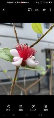 一千満の画像