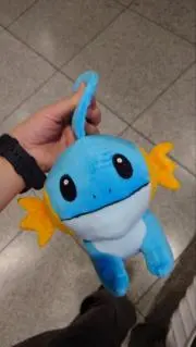 ⭐ミズゴロウ⭐の画像