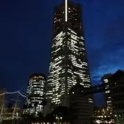 横浜のまつ