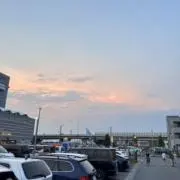 かちゃの画像