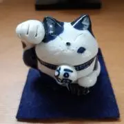Image of すみれちゃん