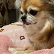 Rouis.の画像