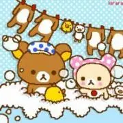 ひぃこ