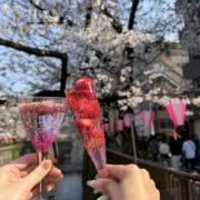 Rの画像