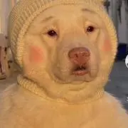 ツトムの画像