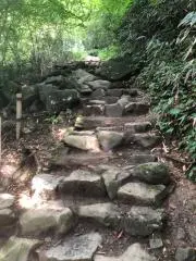 まーの画像