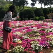 らぶショップの画像