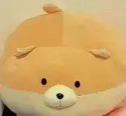 日向夏の画像