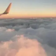 ちゅうそん