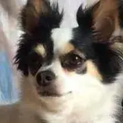 ミミ☆