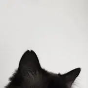あろ