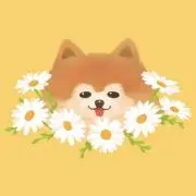 yucooの画像