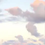 aryn プロフ必読