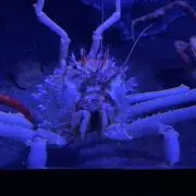 よろしくお願いします。