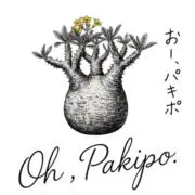 植欲のかたまり。＊次回発送11/3＊の画像