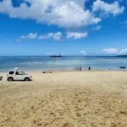 斉藤さんだぞ