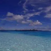 りーの☆の画像