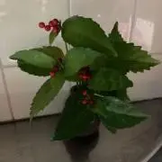 KMKMKM