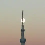 なっちゃん
