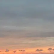 Aニムの画像