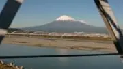 マーガレット