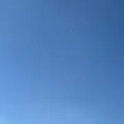 あの画像