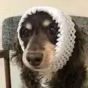 りんの画像