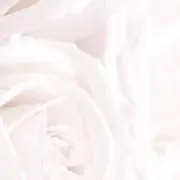 Yukikoの画像