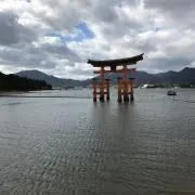 TK3の画像